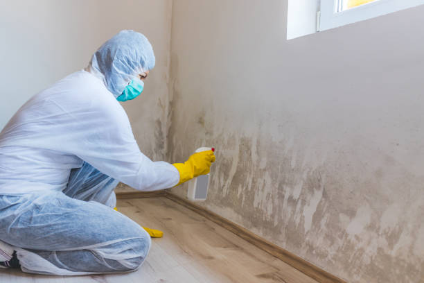 Licensed Bathroom Mold Removal service in Exmore, VA - Mold Remediation HQ