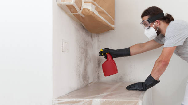 Professional Bathroom Mold Removal technician working in Exmore, VA
