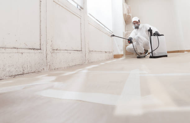 24/7 Emergency Bathroom Mold Removal experts in Exmore, VA
